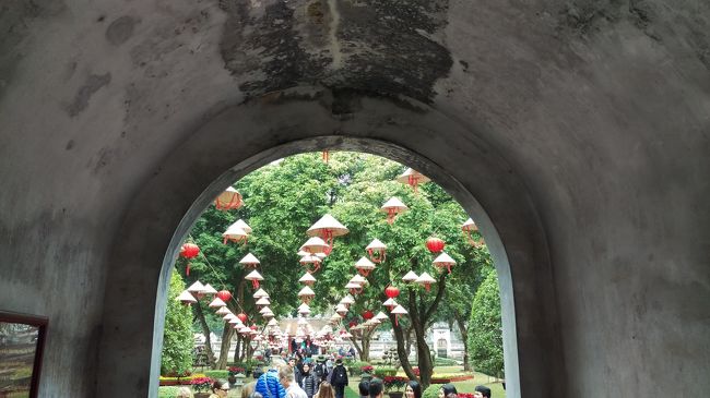 ノンラがたくさんあります。