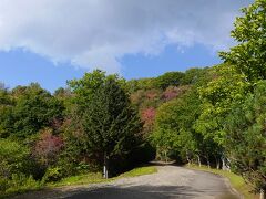 砂利道を上っていく。自動車利用を想定したものか、左右に植物を楽しめるようなつくりだったと思う。