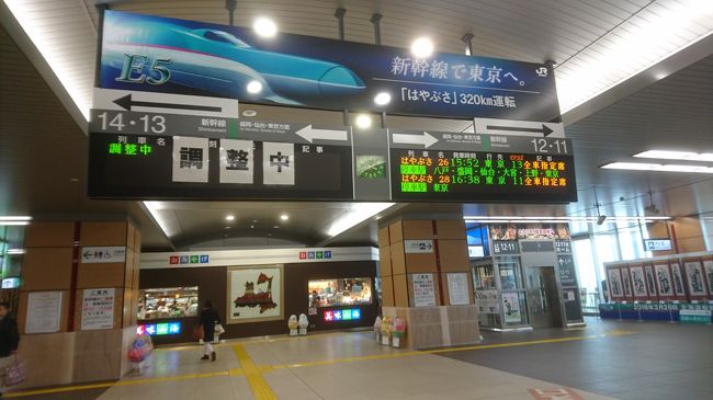 新青森駅から東北新幹線で東京駅に向かいます。<br />最高時速３２０ｋｍで運転し、約３時間で東京駅に着きます。