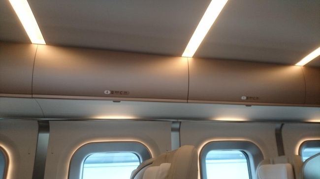 荷物置きは飛行機と同じようにフタがついています。