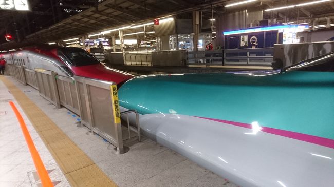 盛岡駅から東京駅までＥ６系こまちと連結して運転していました。<br /><br />この続きは東京編で↓<br />http://4travel.jp/travelogue/11111728