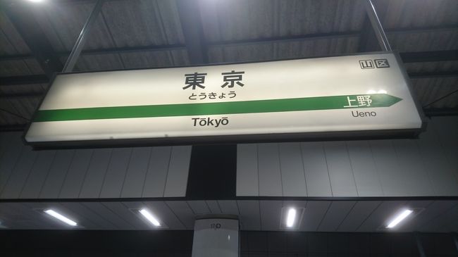 ３時間ほどで東京駅に到着しました。