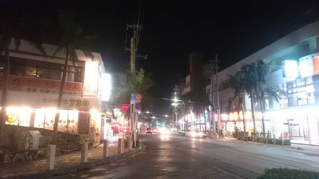 ドライブどころでないので<br />早めにホテルに戻りました。<br />20:00雨が小康状態になったので食事に出ました。<br />