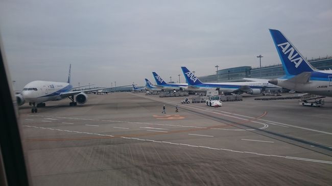 石垣空港の写真ばっかりで<br />今回は<br />薄っぺらなブログになってしまいました。<br /><br />そして何しに行ったのかわからないまま<br />石垣のたびは終わってしまいました。<br />
