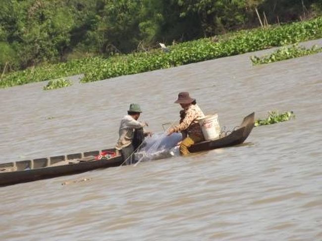 漁をしているようです。