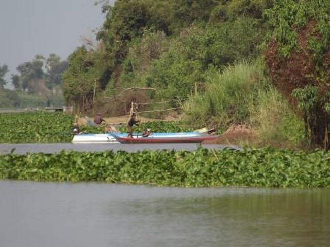川を上っていくとプノンペン近郊と違い自然が残ったようなエリアに<br />なります。水草に覆われた入り江のようなところに船が止まっています<br />おそらく漁の最中と思われます。