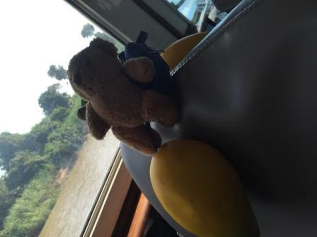 今朝市場で購入したマンゴーの模型に乗っている熊は同行者。<br /><br />船は順調にトンレサップ川をさかのぼり、まもなく東南アジア最大級の<br />湖でもあるトンレサップ湖に差し掛かろうとしていました。