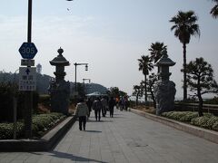 江ノ島駅で降りて、まずは江の島へ。
弁天橋を歩いて行こうと思ったのですが、舟の呼び込みに誘われました。