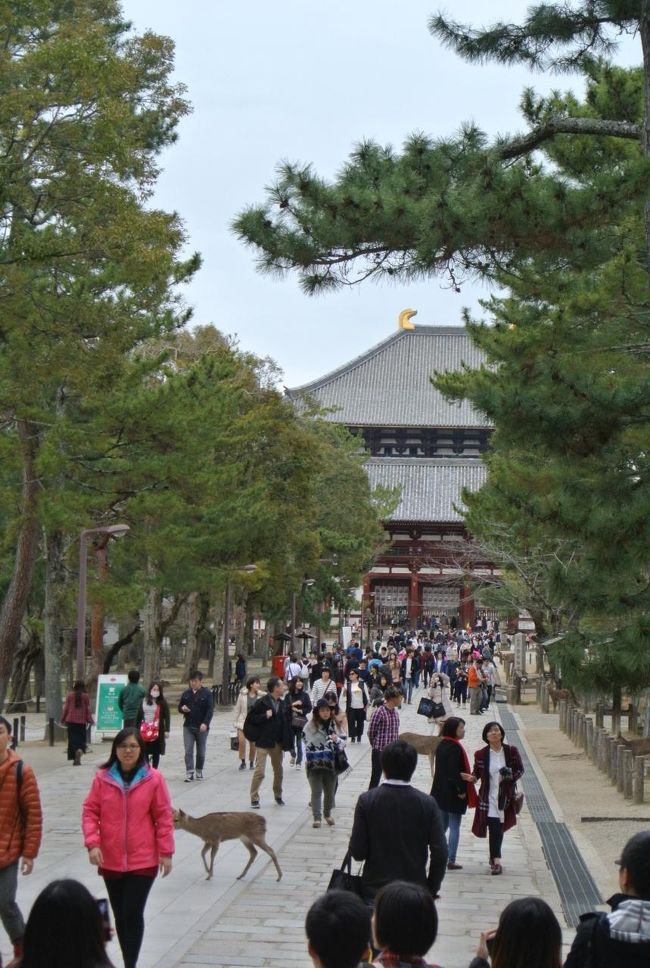 日曜日の夕方ですが人の多さにびっくりです。やはり外国からの観光客が多いですね。