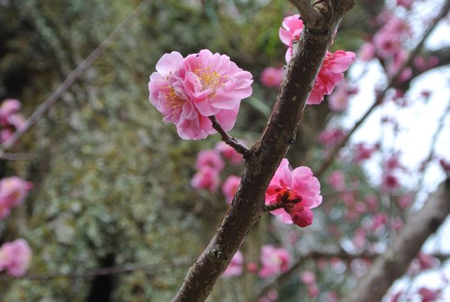 とても綺麗です。