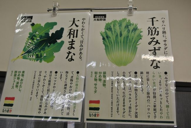 春を感じる奈良の歩きでした。