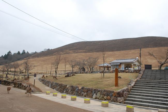 若草山<br /><br />