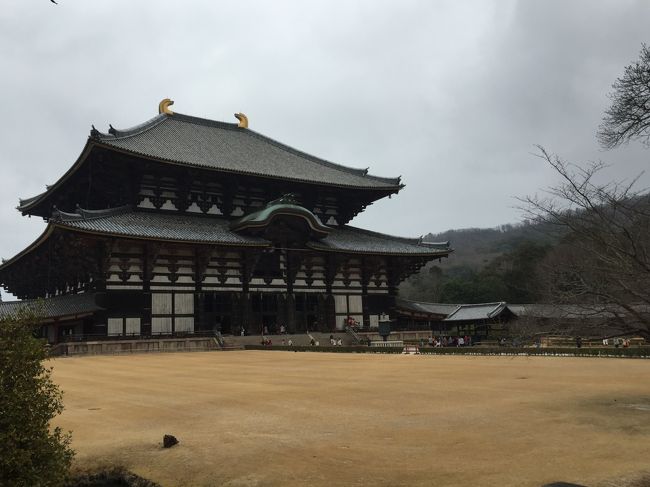 大仏殿とミュージアムのセットで拝観です。