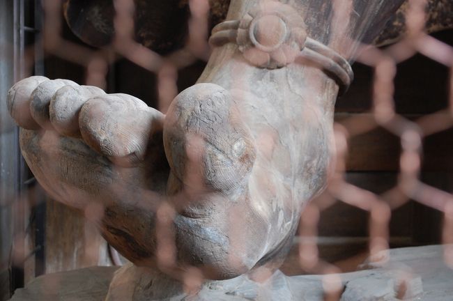 この力強い足！