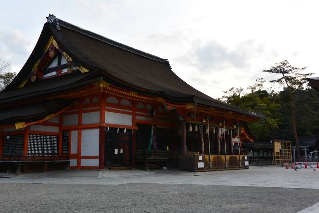 早起きした人の特権だわぁ<br /><br />贅沢ですヽ(´▽｀)/