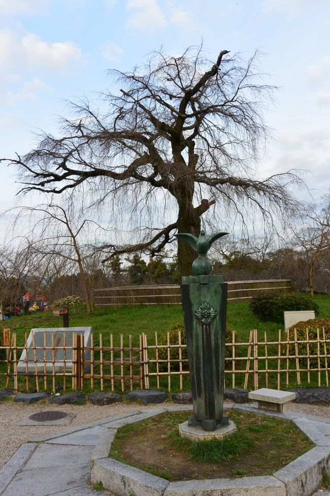 円山公園でシンボル的な枝垂桜☆<br />今年はどんな桜を見せてくれるのかな〜！？<br /><br /><br />桜の時期の旅行記はコチラ↓↓↓<br />【お花見＆グルメの旅ｉｎ京都（１日目）】<br />　http://4travel.jp/travelogue/10661296