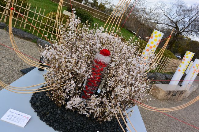 花灯路実施期間中なので、<br />いけばな展開催中です〜