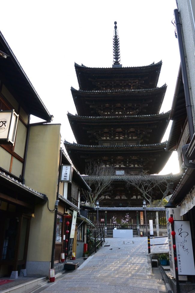 ライトアップを見逃してしまった<br />『八坂の塔』