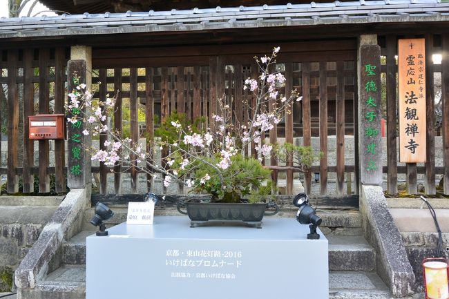 こちらにも生け花が飾られてました！