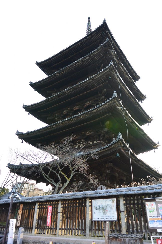 こんな間近で見るのは初めてかも〜♪