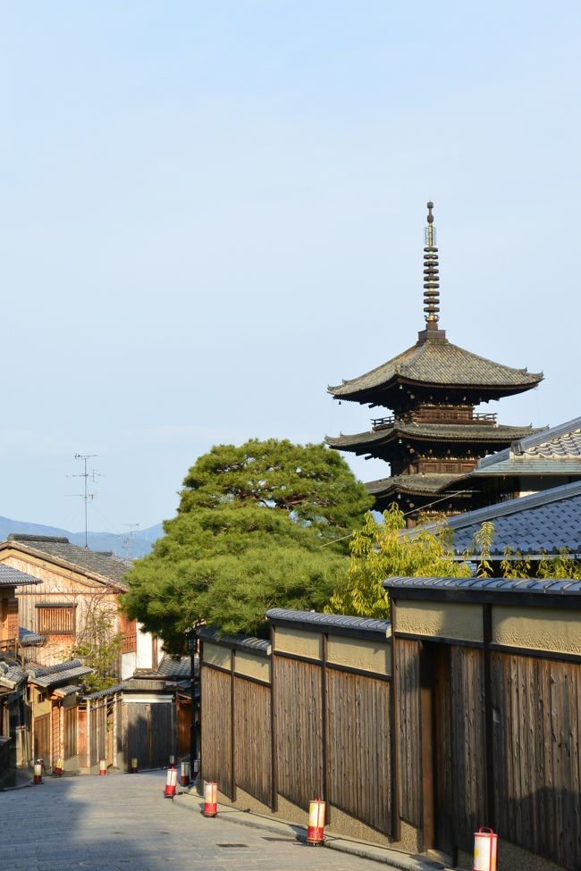 今日もお天気に恵まれて<br />京都の朝を満喫♪゜・*:.。. .。.:*・♪