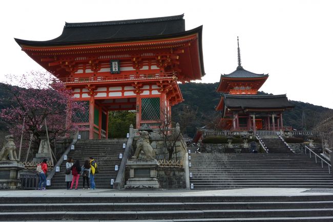 ７時４２分、清水寺に到着。<br /><br />おっと！！！<br />先客の外国人が、モデル風に写真を撮りあいっこして<br />全然どかないよ(ー_ー)!!<br /><br />いろんな観光地で自分はモデルかの様に<br />写真を撮ってる外人をよく見かけるけど、、、<br /><br />なりきり度がスゴイよね！<br />見習いたいわ〜(笑)<br />