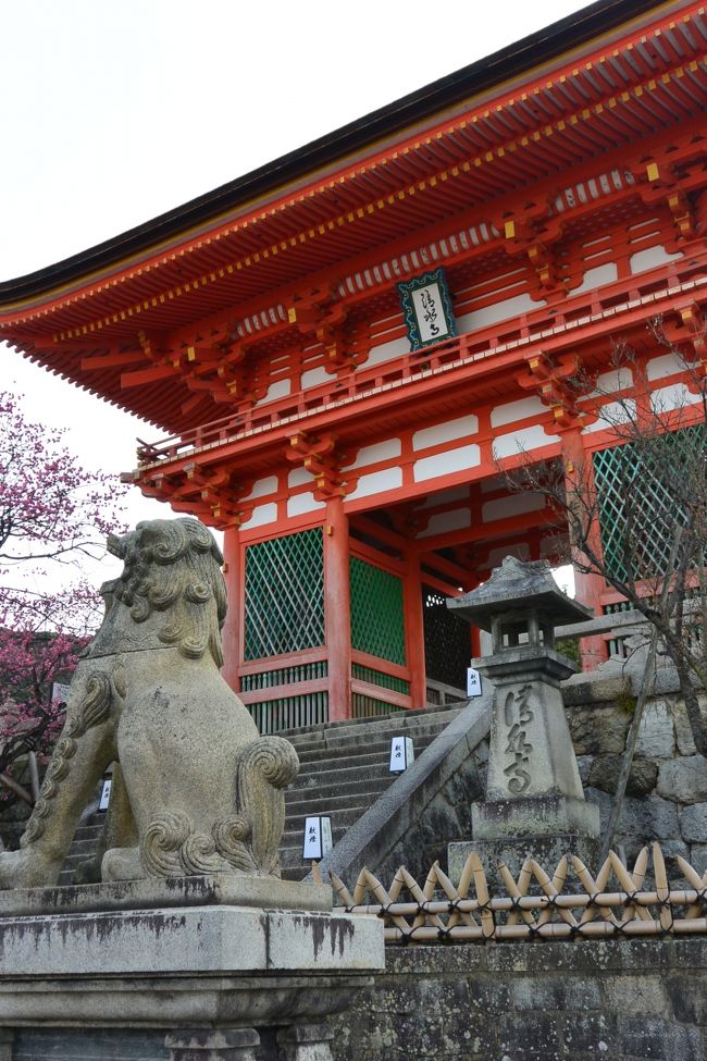 写らないように角度を変えてパチリ☆<br /><br />譲り合う、という言葉は知りませんからね〜<br />あちらの人達は！