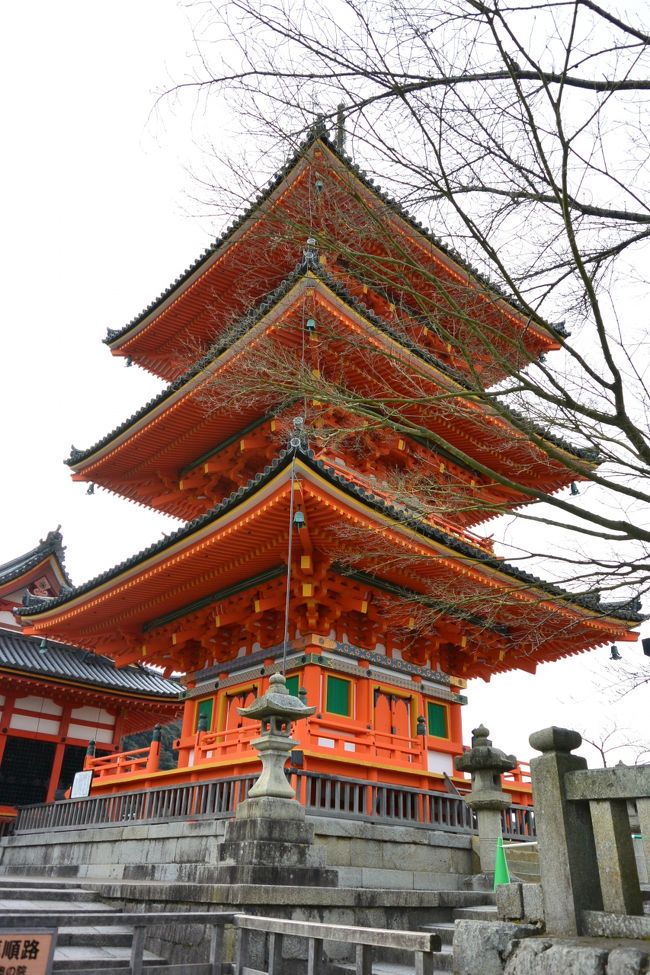 【三重塔】<br /><br />この枝がピンクに色づいた桜だったらな〜(#^.^#)<br /><br />三重塔と桜のコラボが見れるのも<br />もう少しだね(*^_^*)<br /><br />多分私は来ないけど(笑)