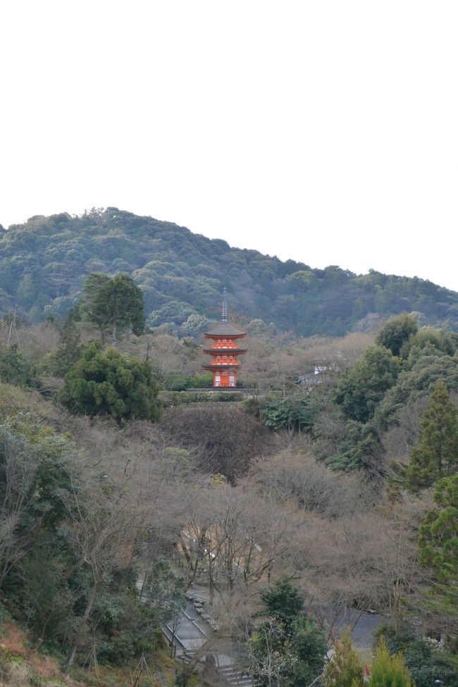 清水の舞台から見えるのは【子安塔】