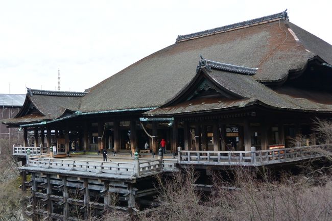 ズームしてパチリ☆