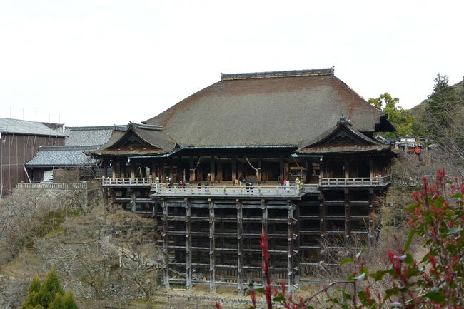 【清水の舞台】<br /><br />すごい造りよね〜。。。