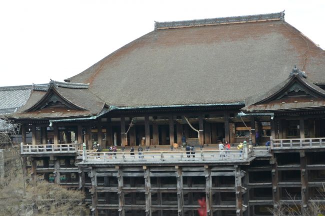 せっかく持ってきたんで<br />望遠レンズに変えてパチリ(笑)