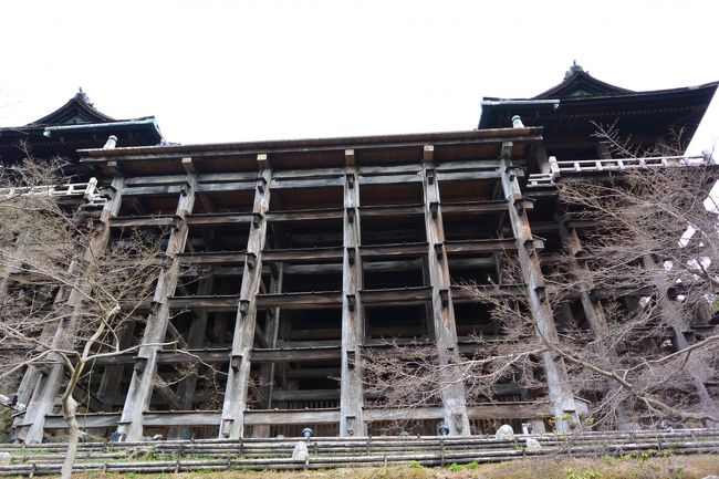 清水の舞台を下から眺める〜〜〜<br /><br />「懸造り」といわれる手法で、<br />釘を１本も使わずに作られている<br />木造建築なんだそう。<br /><br />舞台は４階建てのビルの高さと一緒なんだとか。<br /><br />コレを造った人すごいね！