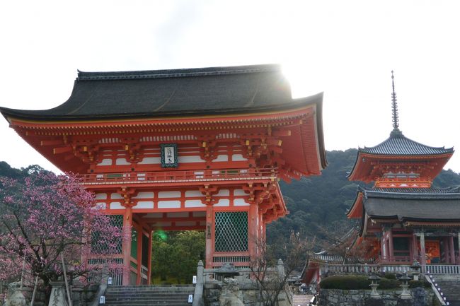 何度見てもこの朱塗りの門と三重塔は<br />絵になる美しい風景！<br /><br />朝から清水寺の観光を満喫o○*:.。..。.。o○*<br /><br />さてホテルまでの道のりは３０分！<br />タクシーに乗ろうかと思ったけど(笑)<br /><br /><br />