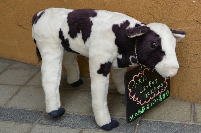 入口で出迎えてくれる牛さんが可愛い( ´ ▽ ` )ﾉ<br /><br />名前募集中だって〜(#^.^#)<br />誰かつけてあげて下さい☆