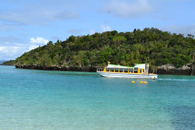 マングローブの森へ。