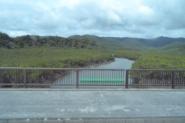 何キロも続くマングローブ。