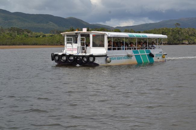 川をのぼりながらマングローブの森へ。