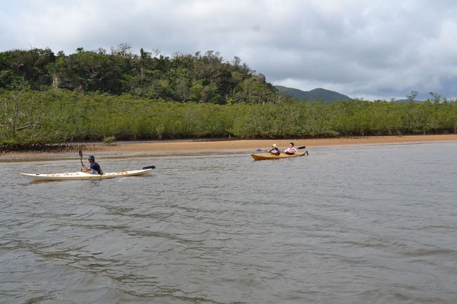 カヤックで見学。