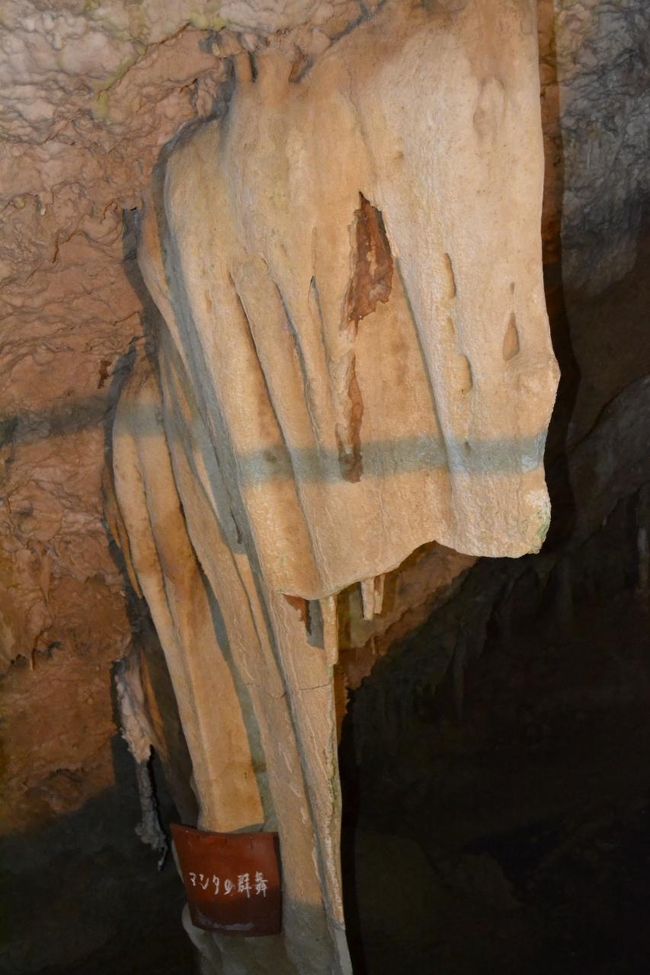 壁のような石筍。