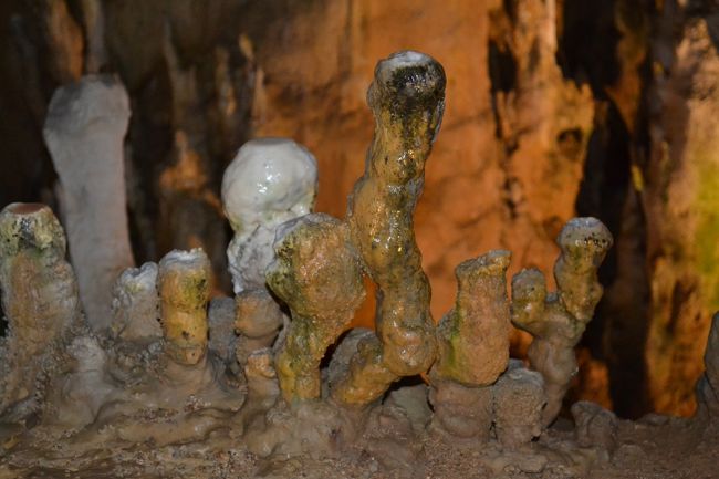 何かに似ているよう。