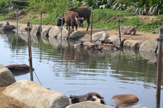 週休二日制で英気を養います。