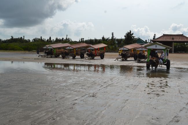 順番に発車します。