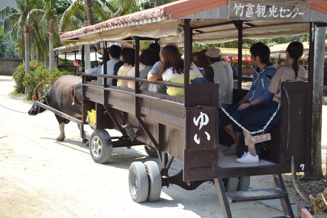 各牛車には名前がついています。