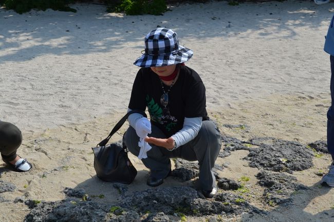 星の砂を探します？