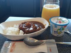 今年2度目のソウル旅行です。

ついたらすぐに観劇なのでANAラウンジで
ガッツリ朝カレーをいただき出発です。