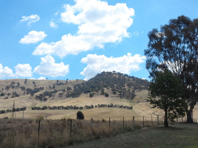 みどりの牧場って歌が似合う景色。牧歌的〜！！広々してて空気もきれい〜！！