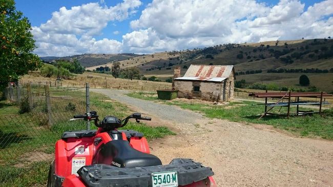 バギーで牧場案内してもらいました。