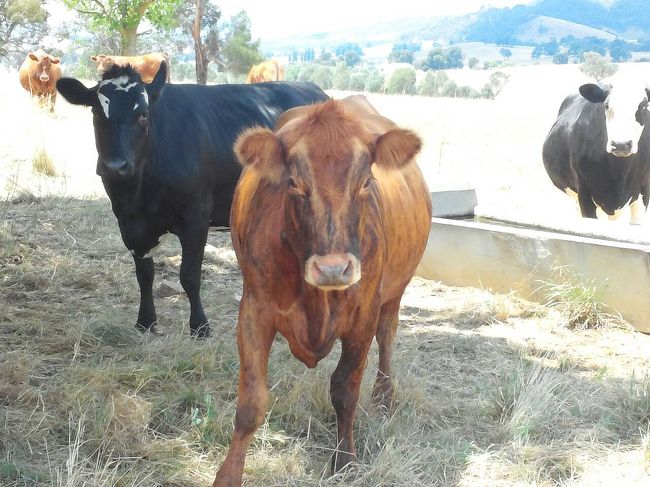 近いよー！怖ひぃぃ。。想像の3倍くらい大きかった（笑）