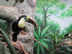 伊豆シャボテン公園に
遊びに行きました。

沢山の可愛い動物がいっぱい

とても癒されました